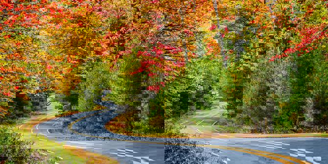 Fall Foliage Drive & Stay Guide In NY’s Allegheny Mountain Range